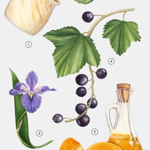 اطلاعات عطر زارا رد وانیلا ۹۰ میل