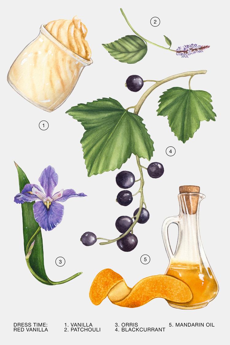 اطلاعات عطر زارا رد وانیلا ۹۰ میل